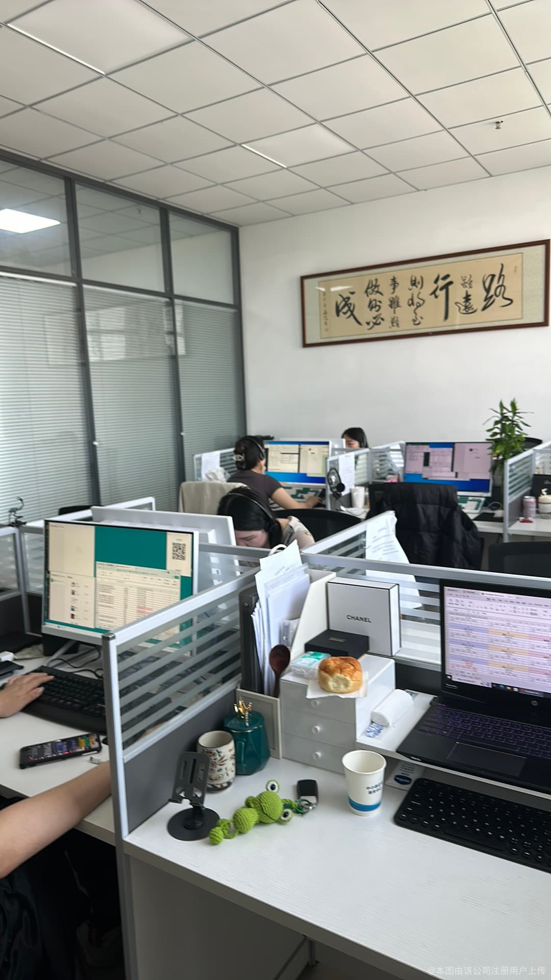 译家财务咨询服务 您的财务管理专家